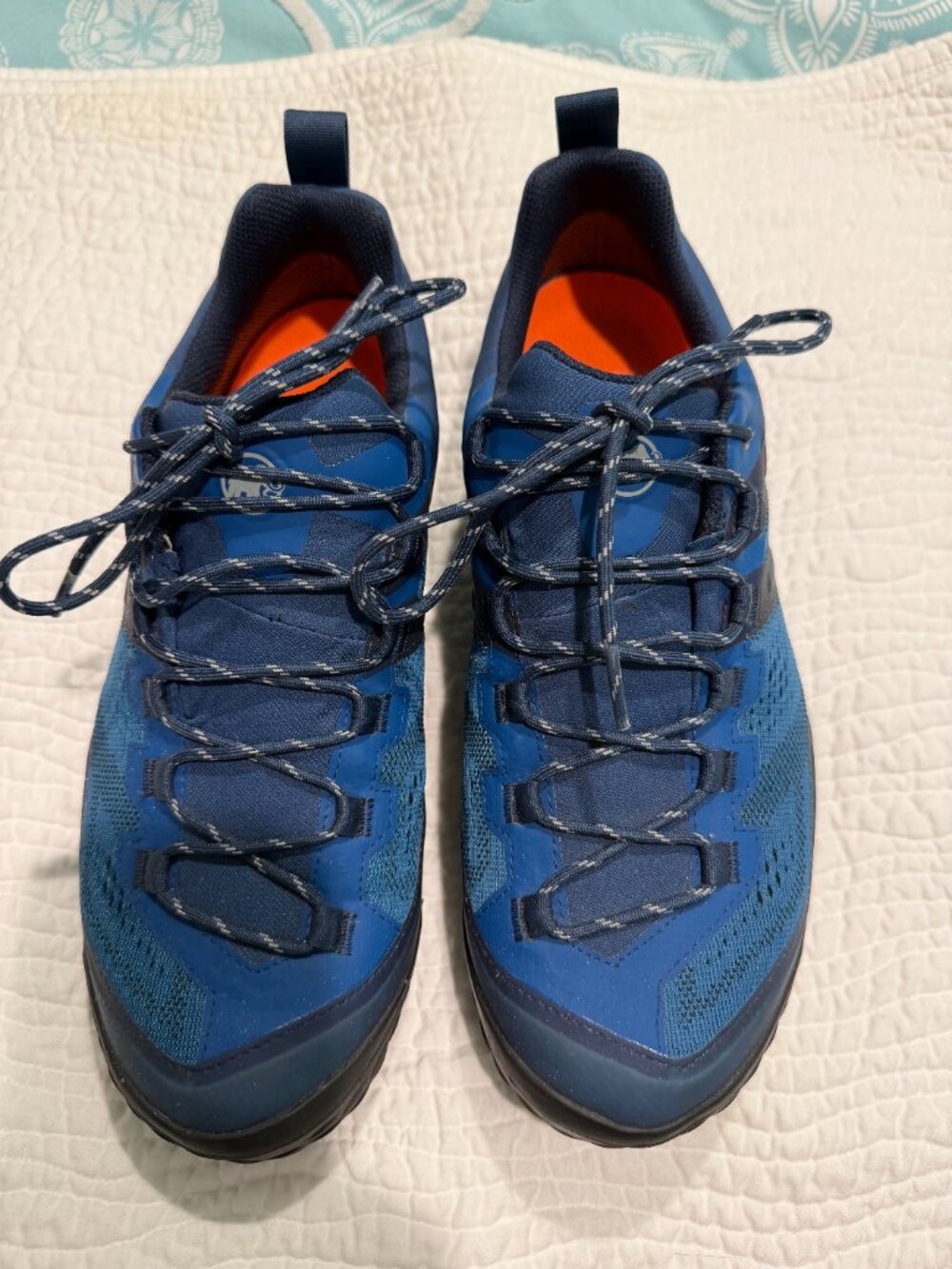 Mammut Ducan Low GTX shoe